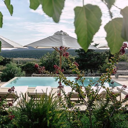 Holiday Home Stancija Srem Belej Zewnętrze zdjęcie